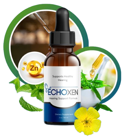 67a379b21e9a4_echoxenimg EchoXen