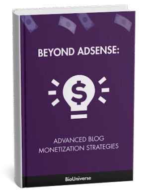store__product-image__a517e6fe-38f0-49d3-af88-b5871120b0fc Beyond AdSense: Advanced Blog Monetization Strategies